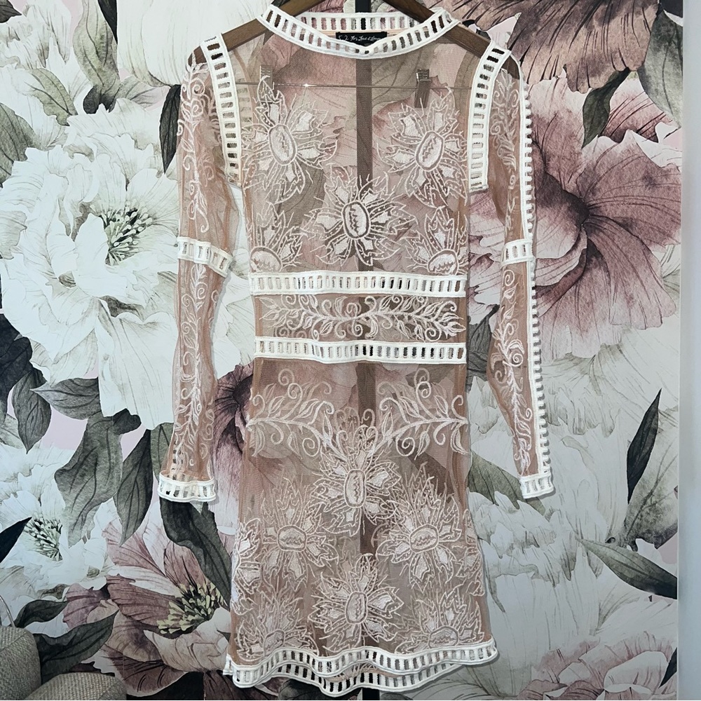 For Love and Lemons Desert Nights Sheer Mini Dress